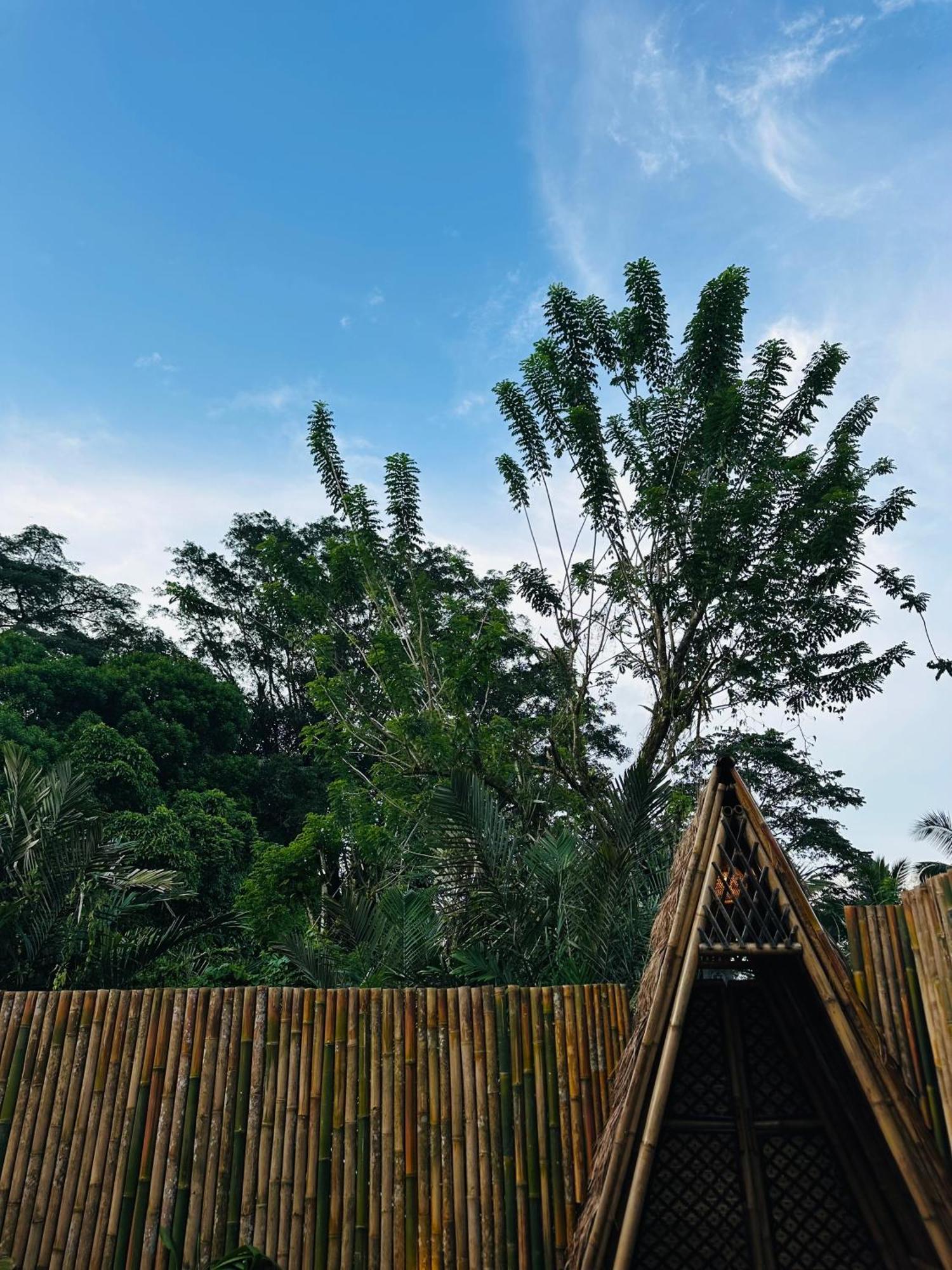 Bamboo House - Ecobreeze Villa Sidemen  Exteriör bild